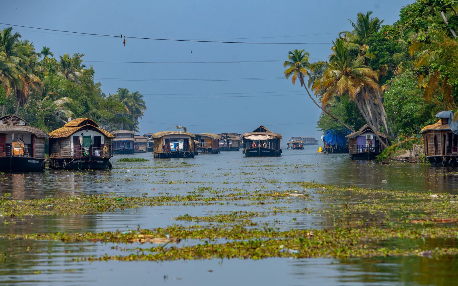 India Tours